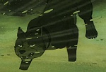 Ginga Nagareboshi Gin picture