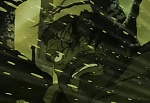 Ginga Nagareboshi Gin picture