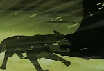 Ginga Nagareboshi Gin picture