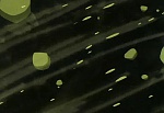 Ginga Nagareboshi Gin picture