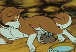 Ginga Nagareboshi Gin picture