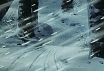 Ginga Nagareboshi Gin picture