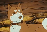 Ginga Nagareboshi Gin picture