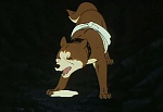 Ginga Nagareboshi Gin picture