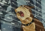 Ginga Nagareboshi Gin picture