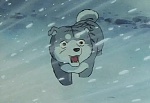 Ginga Nagareboshi Gin picture