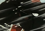 Ginga Nagareboshi Gin picture