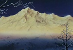 Ginga Nagareboshi Gin picture