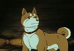 Ginga Nagareboshi Gin picture