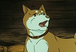 Ginga Nagareboshi Gin picture