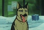 Ginga Nagareboshi Gin picture