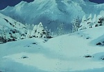 Ginga Nagareboshi Gin picture