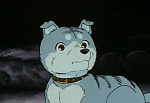 Ginga Nagareboshi Gin picture