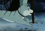 Ginga Nagareboshi Gin picture