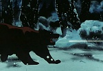 Ginga Nagareboshi Gin picture
