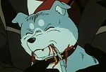 Ginga Nagareboshi Gin picture