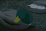 Ginga Densetsu Weed picture