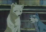 Ginga : His Name Is Weed picture