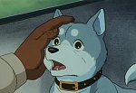 Ginga Nagareboshi Gin picture