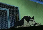 Ginga : The Challenge of Akakabuto's Bear Family! picture
