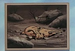 Ginga Nagareboshi Gin picture