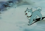 Ginga : The Challenge of Akakabuto's Bear Family! picture