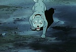 Ginga Nagareboshi Gin picture