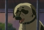 Ginga : The Tool of the Leader picture