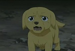 Ginga : The Tool of the Leader picture