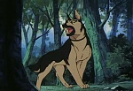 Ginga Nagareboshi Gin picture