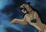 Ginga Nagareboshi Gin picture