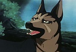 Ginga Nagareboshi Gin picture