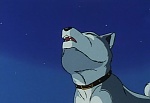 Ginga Nagareboshi Gin picture