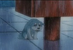 Ginga : Truth of the Twin Peaks picture