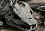Ginga Nagareboshi Gin picture