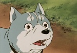 Ginga : Howl! The Mountain Calls! picture