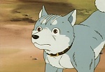 Ginga Nagareboshi Gin picture