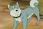 Ginga Nagareboshi Gin picture