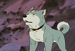 Ginga Nagareboshi Gin picture