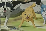 Ginga Densetsu Weed picture
