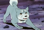 Ginga Nagareboshi Gin picture