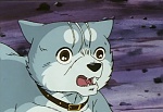 Ginga Nagareboshi Gin picture