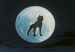 Ginga Nagareboshi Gin picture