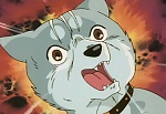 Ginga Nagareboshi Gin picture