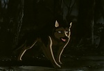 Ginga : Scarred in Your Heart Forever! The Oath of the Group! picture