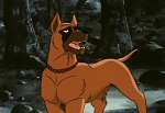 Ginga Nagareboshi Gin picture