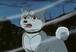 Ginga Nagareboshi Gin picture