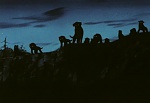 Ginga Nagareboshi Gin picture