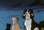 Ginga Nagareboshi Gin picture