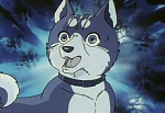 Ginga Nagareboshi Gin picture